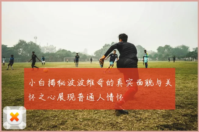 小白揭秘波波维奇的真实面貌与关怀之心展现普通人情怀