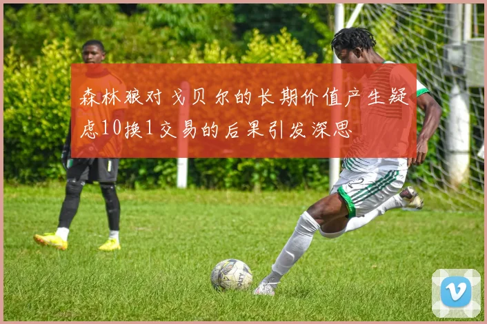 森林狼对戈贝尔的长期价值产生疑虑10换1交易的后果引发深思