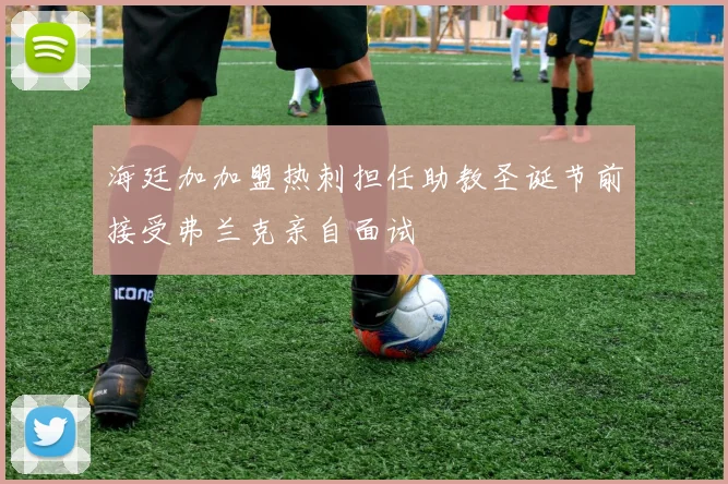 海廷加加盟热刺担任助教圣诞节前接受弗兰克亲自面试
