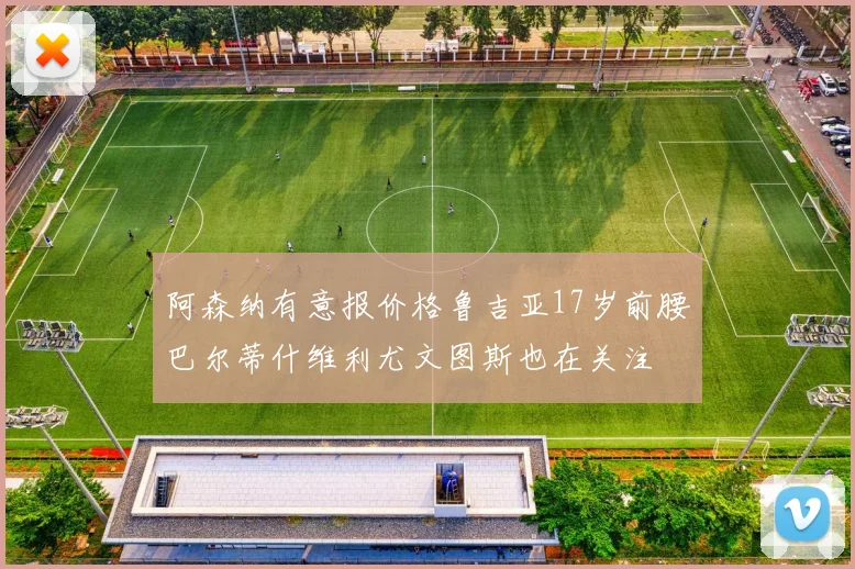 阿森纳有意报价格鲁吉亚17岁前腰巴尔蒂什维利尤文图斯也在关注
