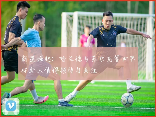 新星崛起：哈兰德与苏尔克等世界杯新人值得期待与关注